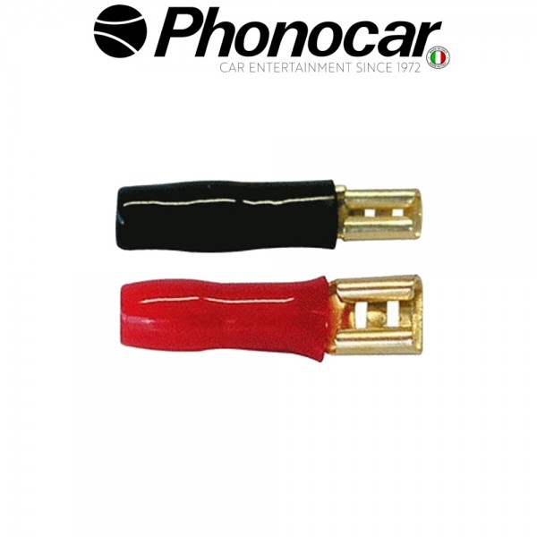 04.223.2 PHONOCAR