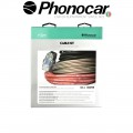 06.098 PHONOCAR