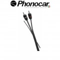 06.125.1  PHONOCAR