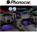 07.309 PHONOCAR
