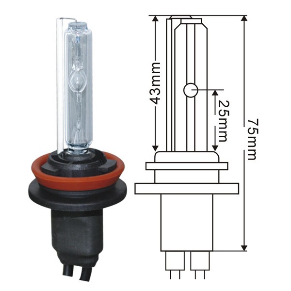 XENON H9 LAMP 6K