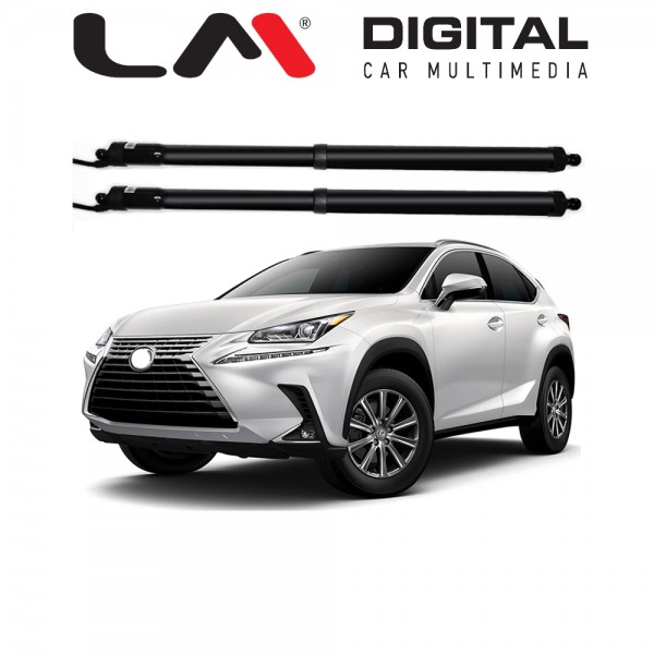 TAILGATE LEXUS6061