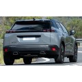 PEUGEOT 2008 2019 >